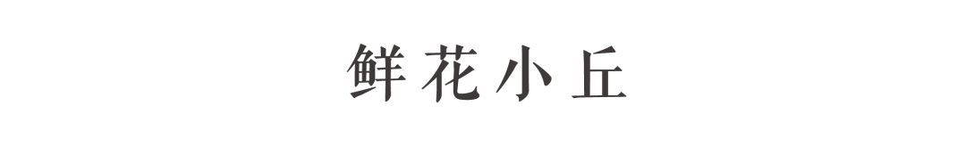 尚峯壹號 | 绿意盎然的海德公园生活-70