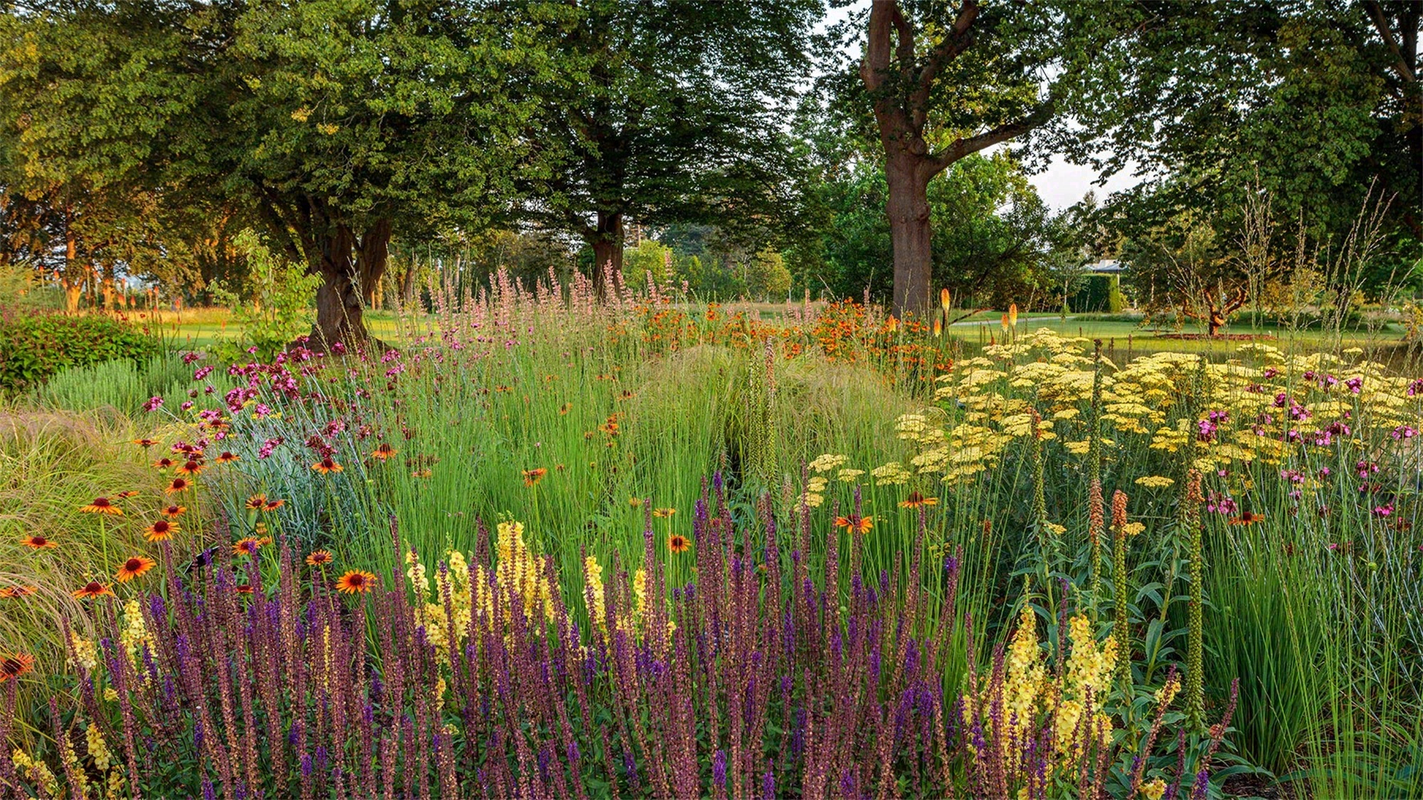 泪珠公园丨美国曼哈顿-98