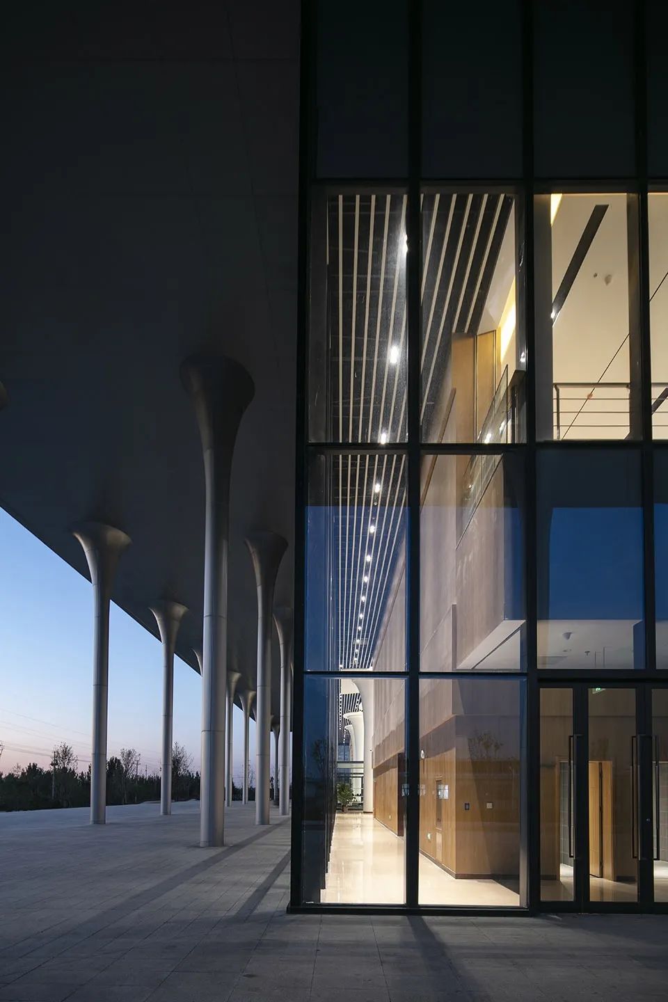 邹城市蘑菇展览馆丨同圆设计集团股份有限公司-34