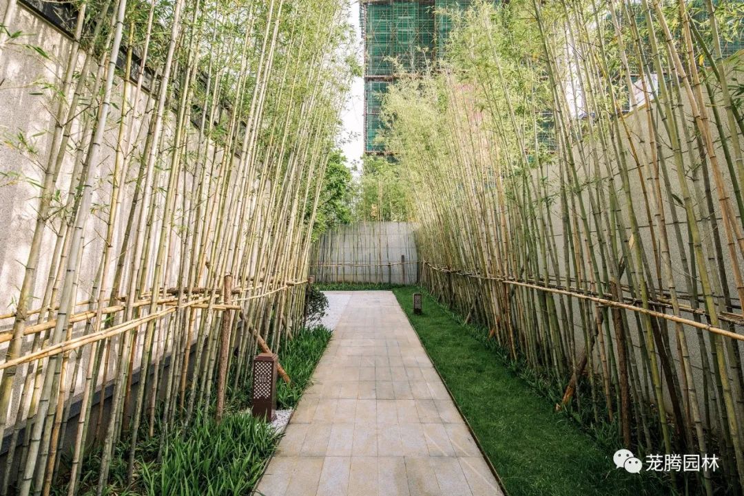 新余天麓玖号府(展示区)-36