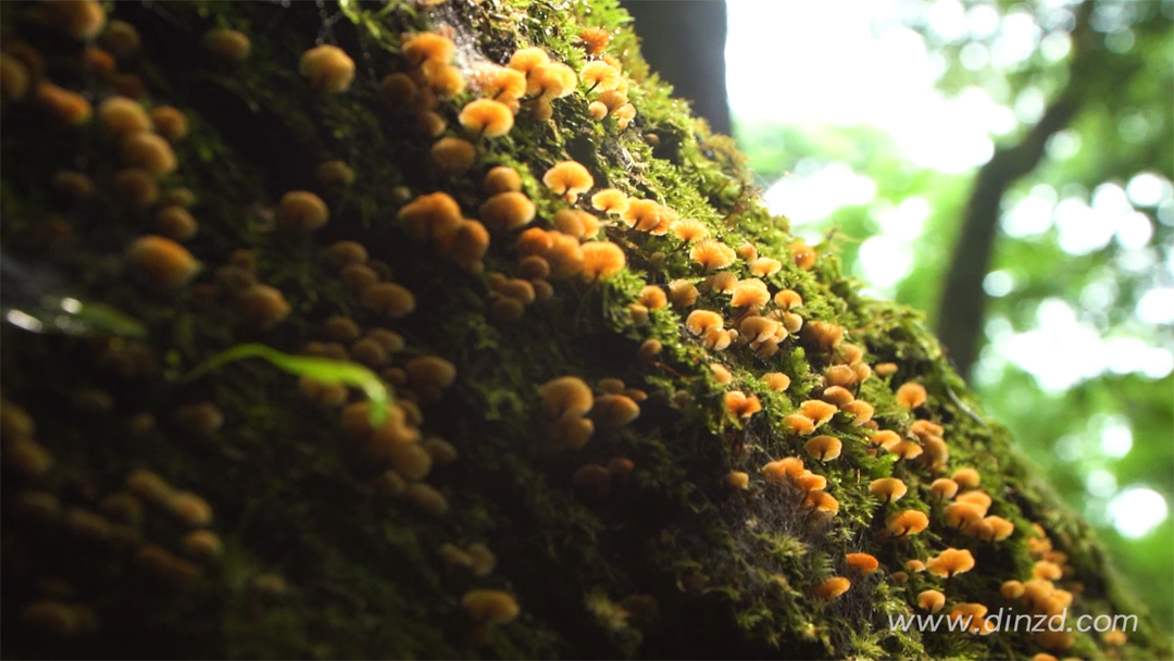 唯木空间丨中国东莞丨TD 知行空间设计-2