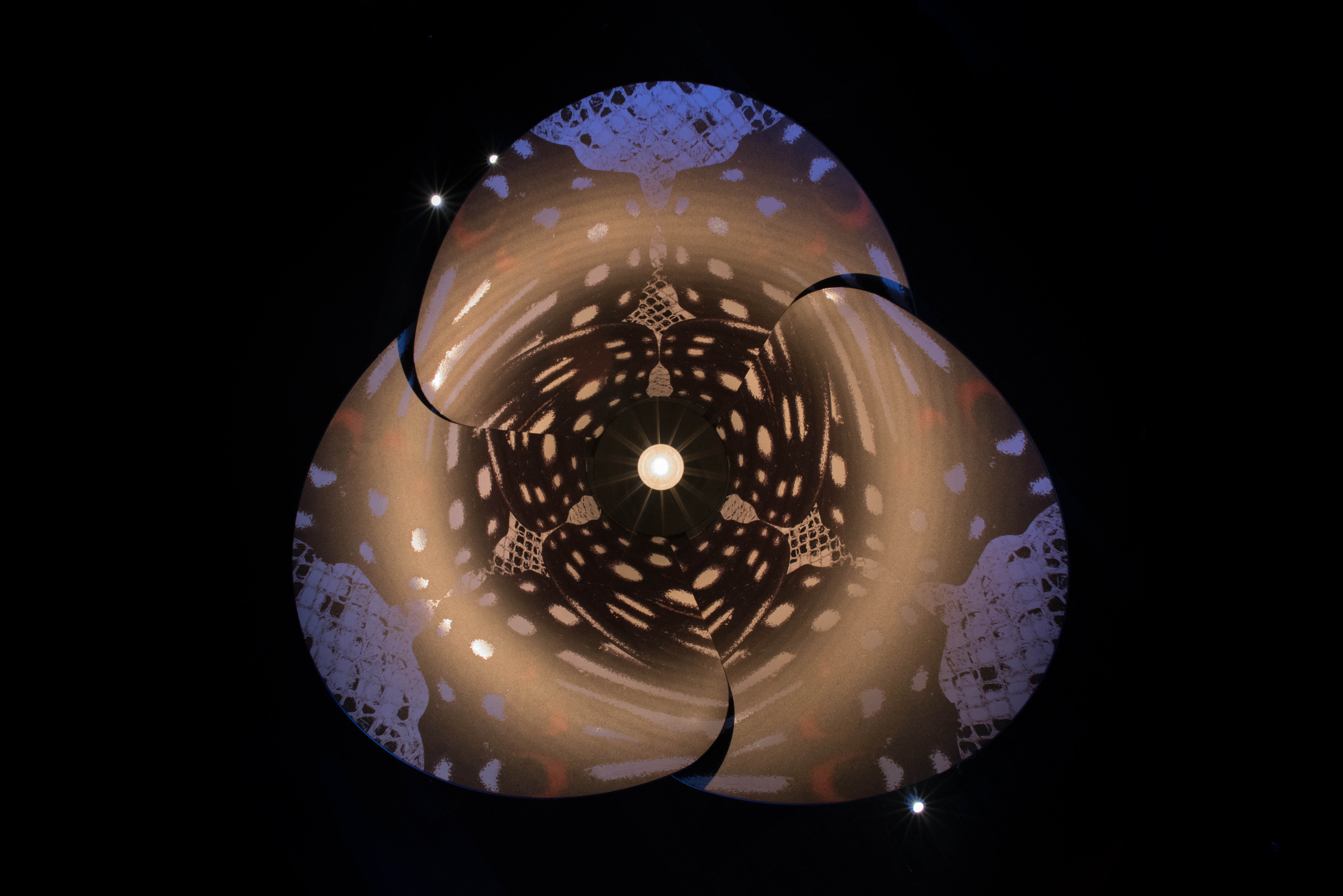 Rebel | Eventscape-4