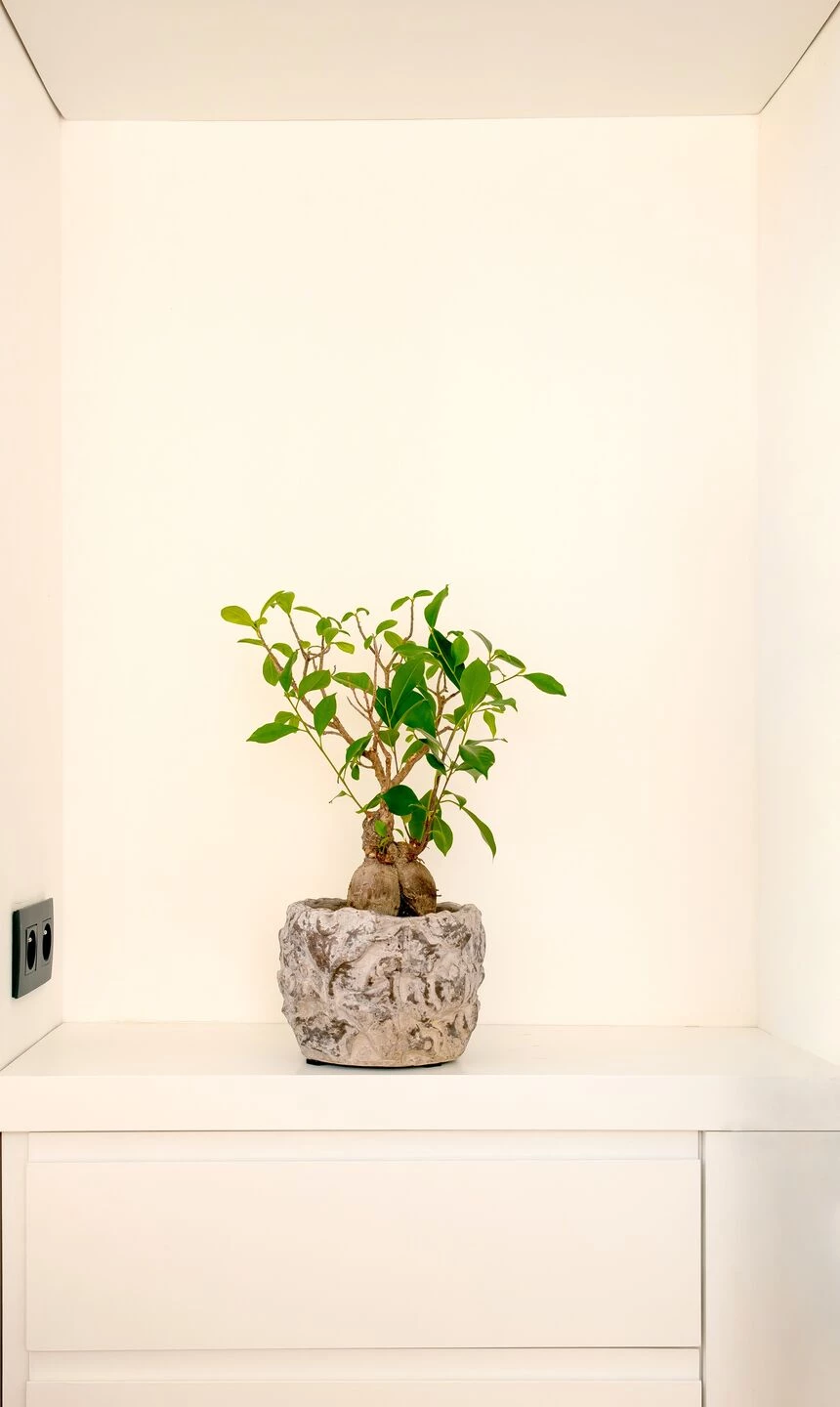 布鲁塞尔圆形公寓设计-33