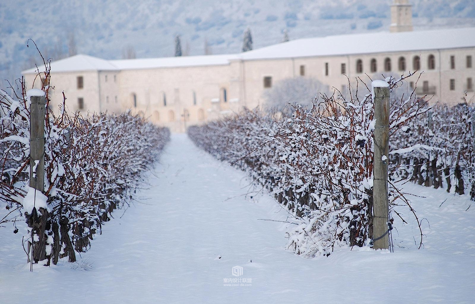 西班牙杜埃罗河谷庄园酒店-46
