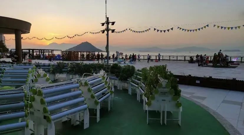 香港KFarm · 高科技农场的绿色奇迹丨中国香港丨陈启豪等-47