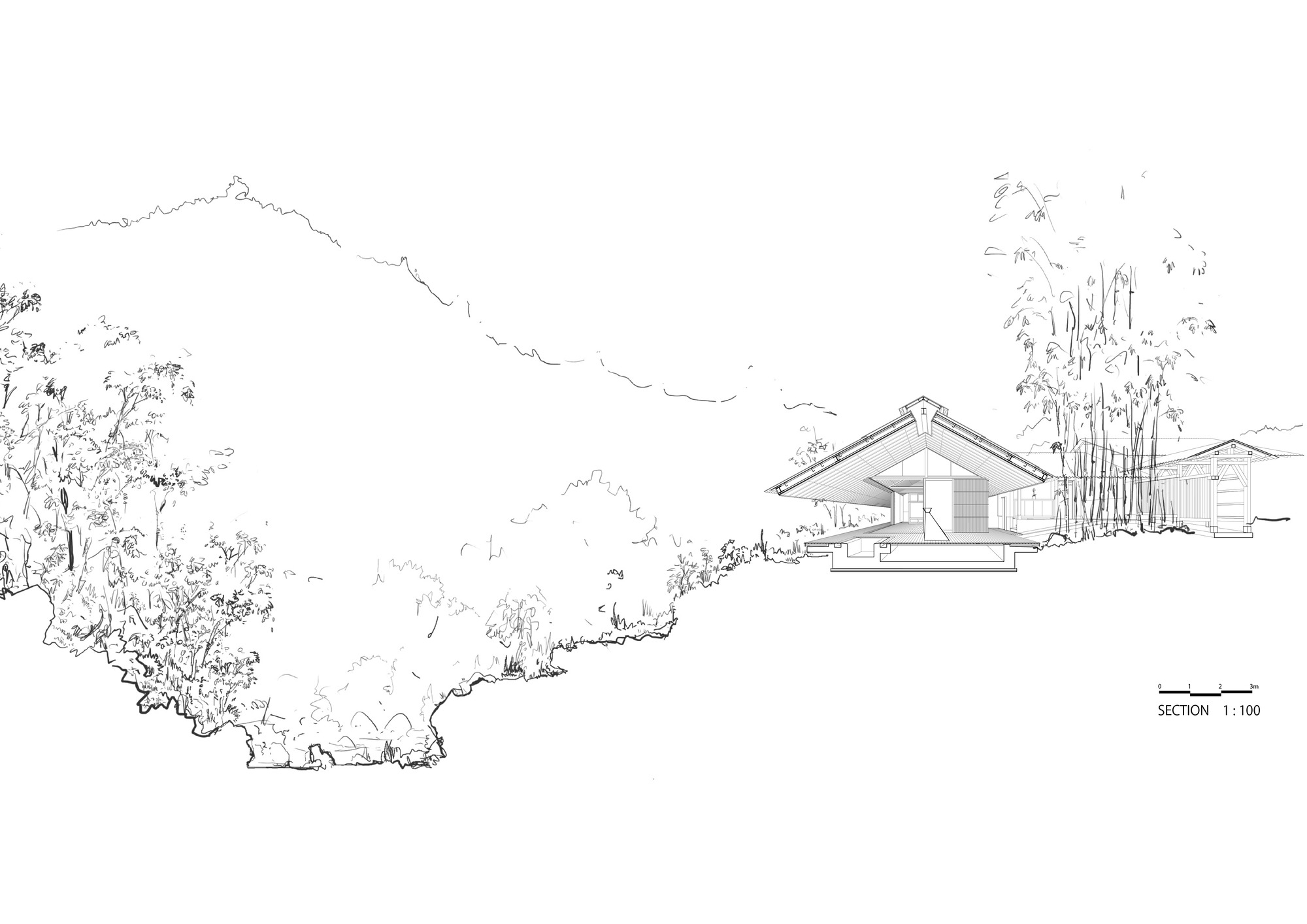 丨日本东京丨Tezuka Architects-16