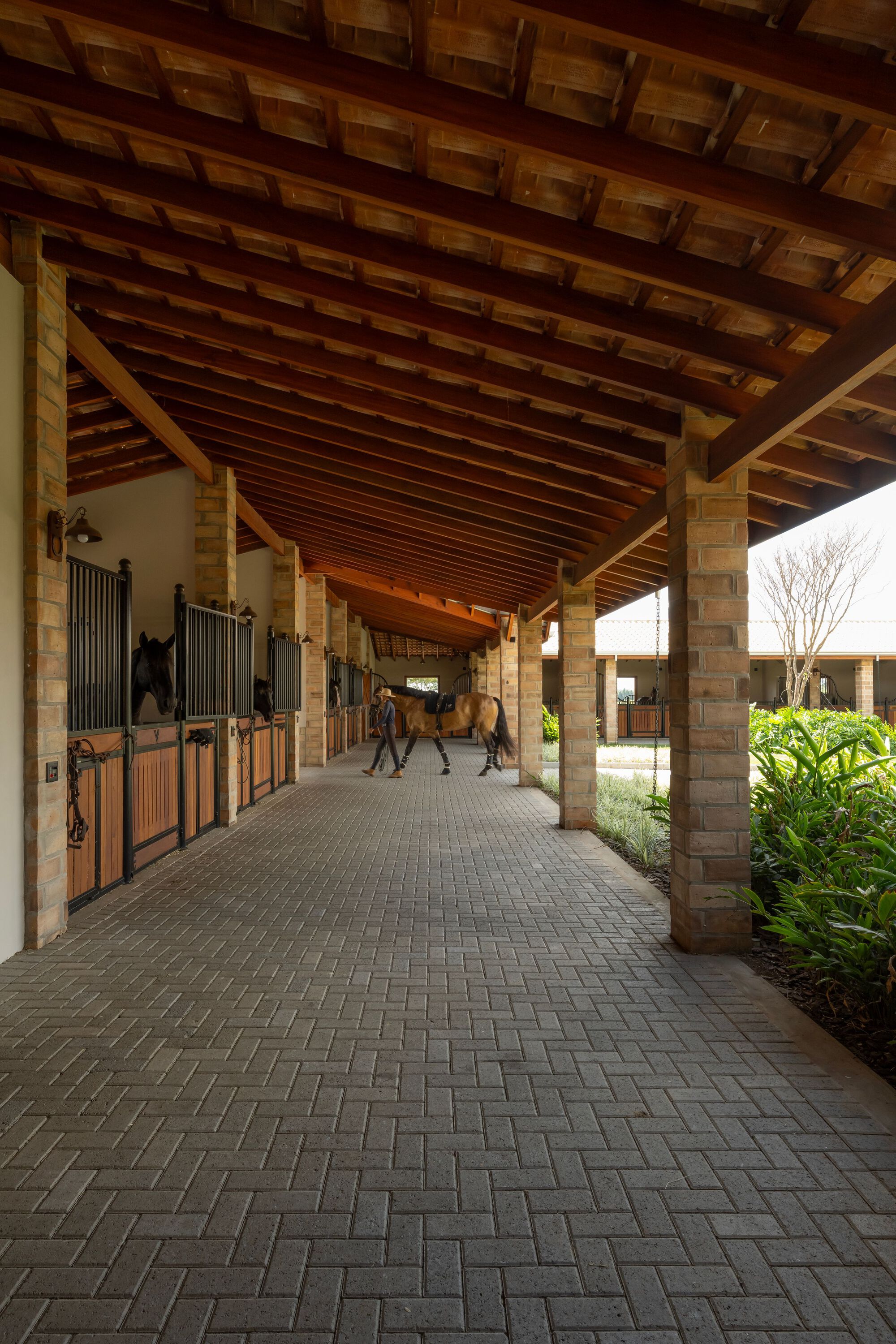 VM 马术马厩丨巴西丨Per Cavalli Arquitetura-21