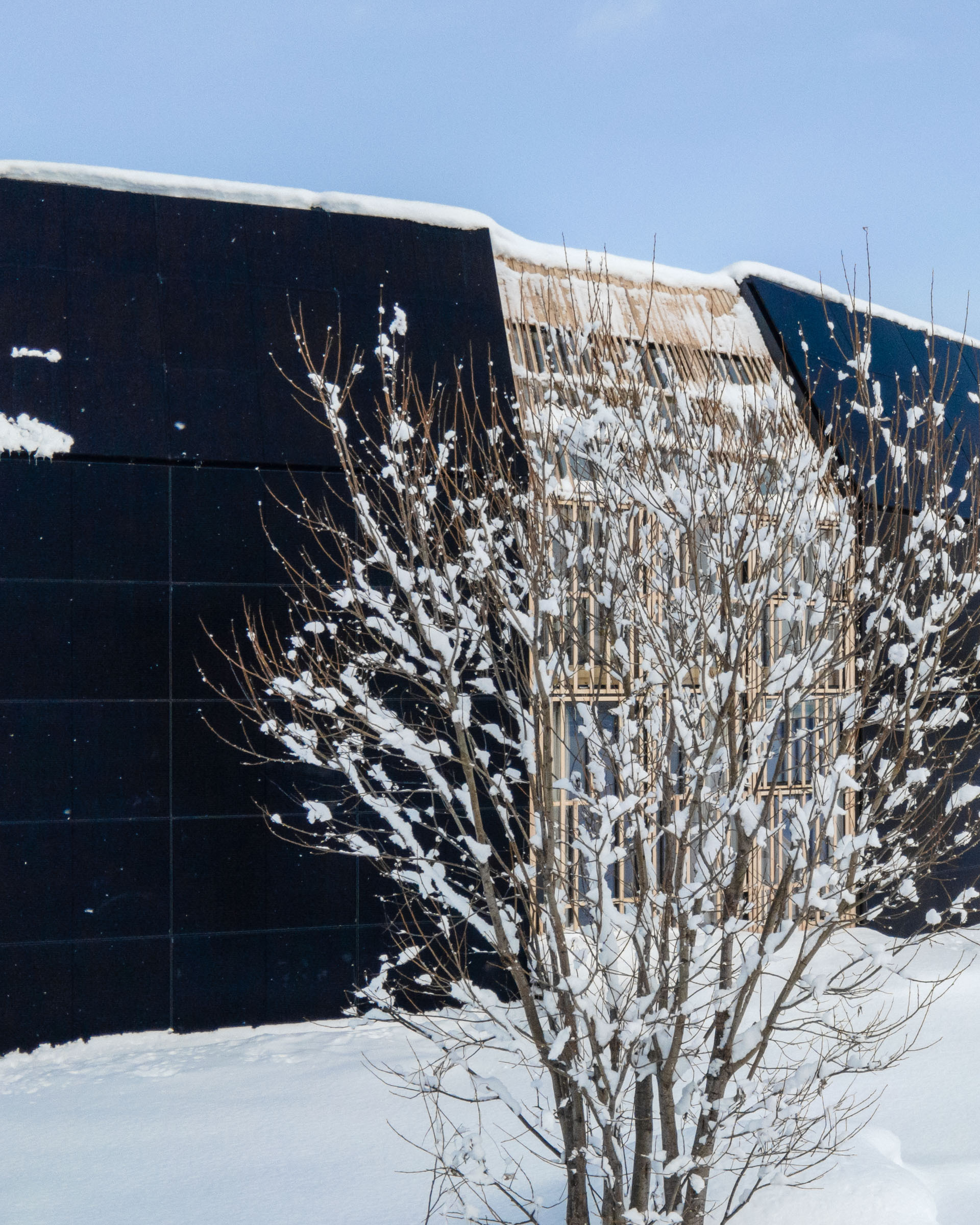 房子丨日本丨Florian Busch Architects-33