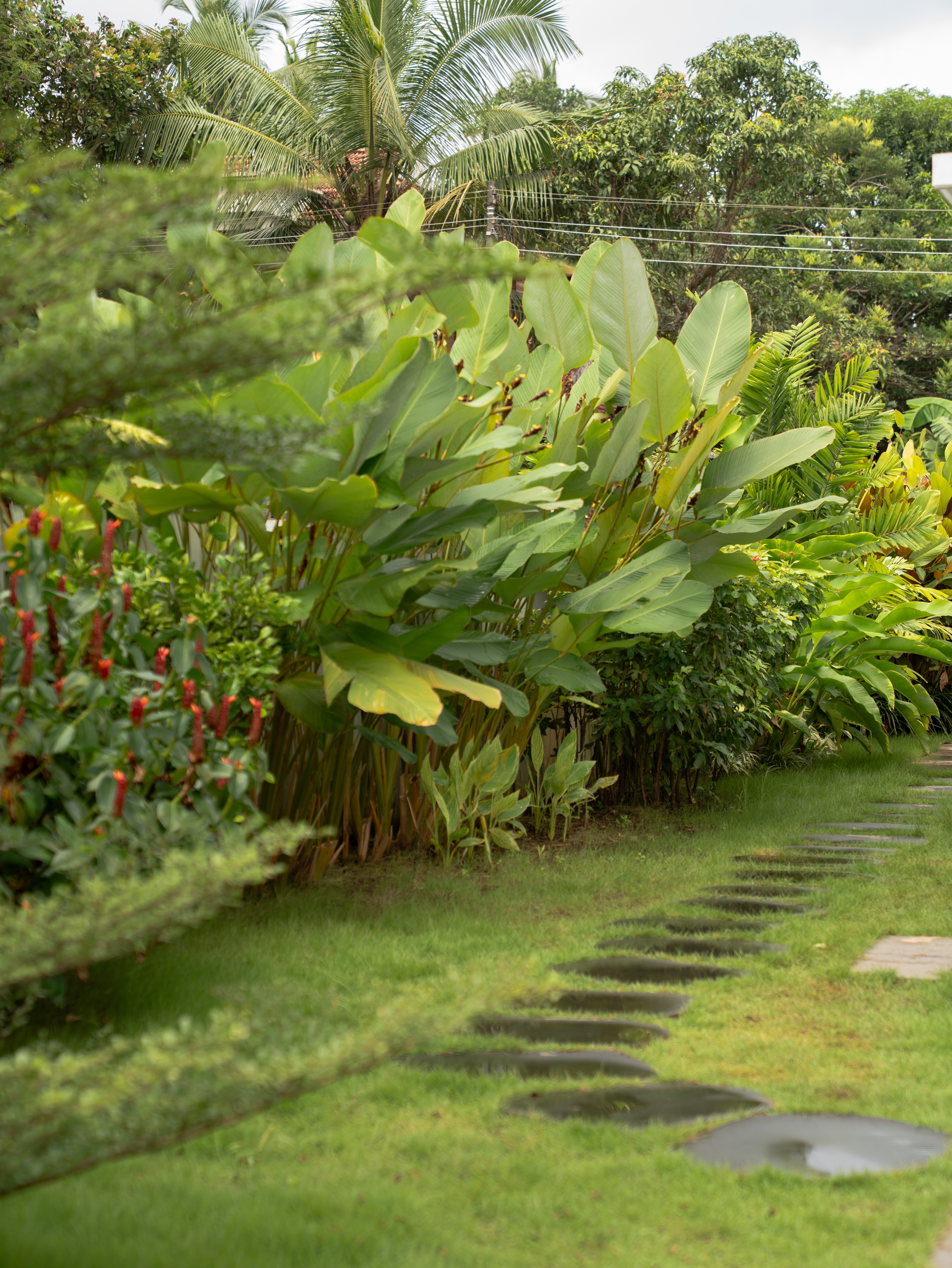 Landscaping by seedisland-5