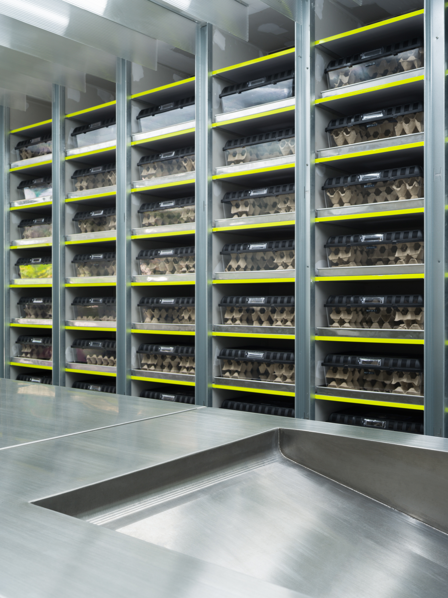 Exofood Retail and Lab / space+craft-28