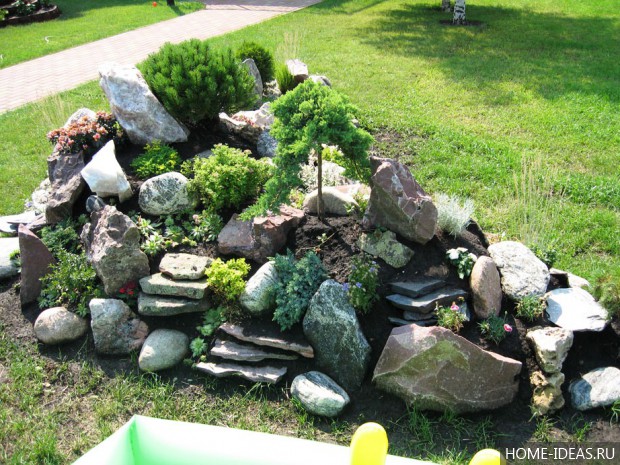 自制阿尔卑斯式假山（阿尔卑斯式花坛）-128