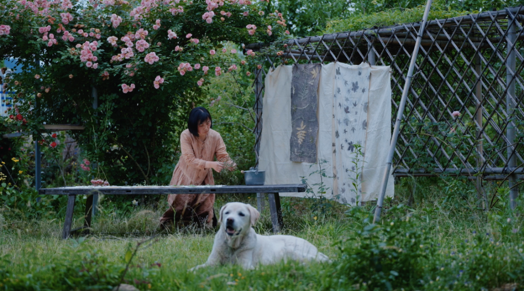 回声花园 · IT 夫妇的乡野生活丨中国黄山丨红子,小可夫妇-4