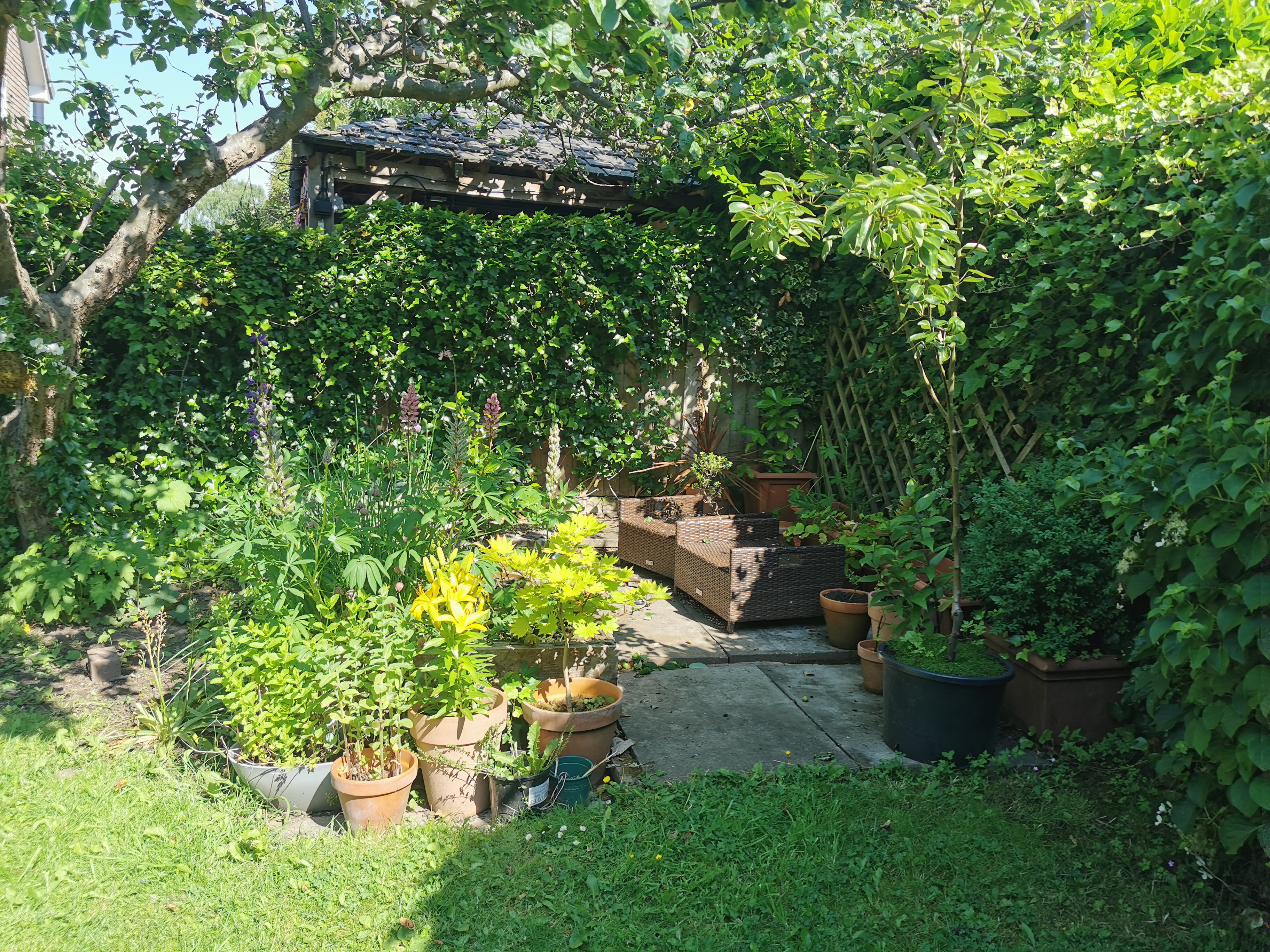 当代花园丨Blue Iris Landscapes-24