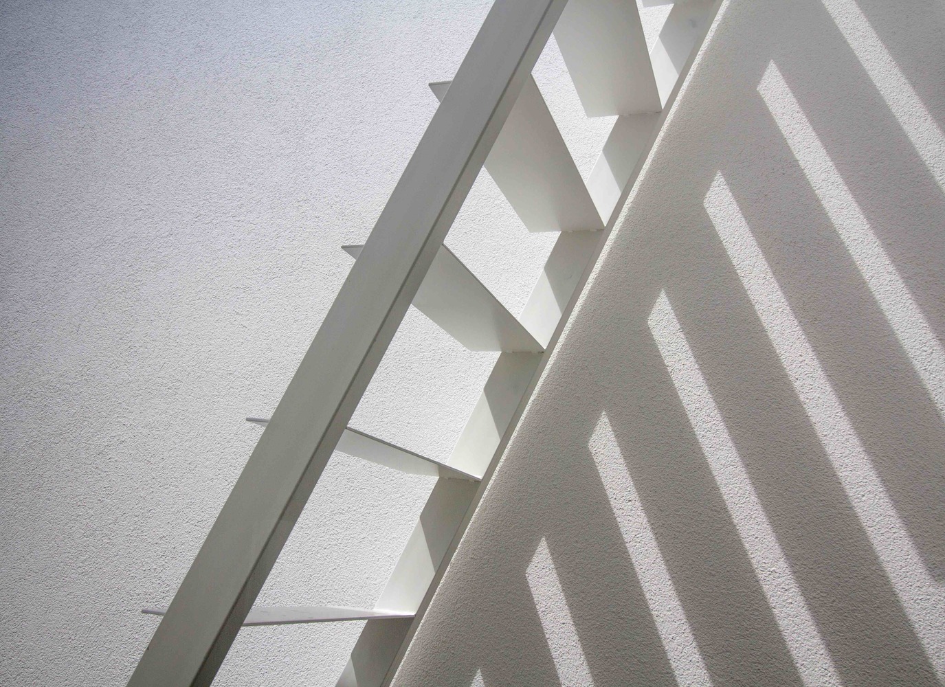 罗马尼亚四口之家，绿色环保与自然共生-63