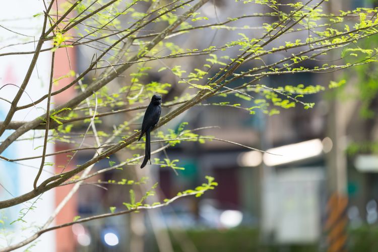 采采良品 - WEHOUSE-2