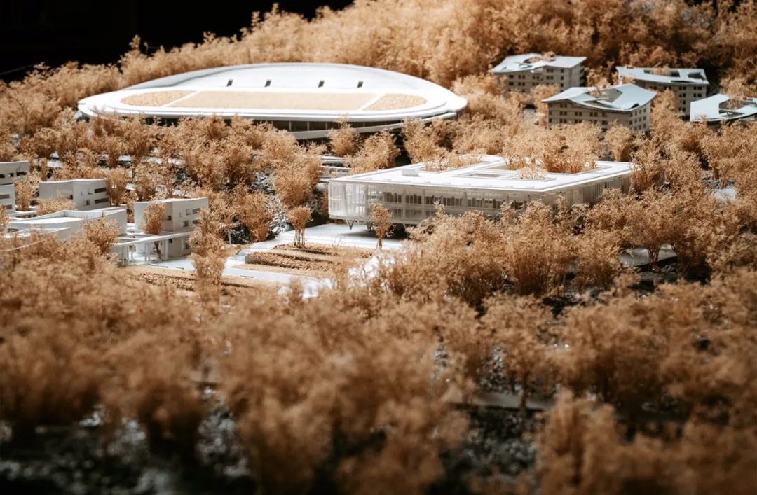 海边的“童年”高校 · 立木幼师学校丨立木 L&M-35