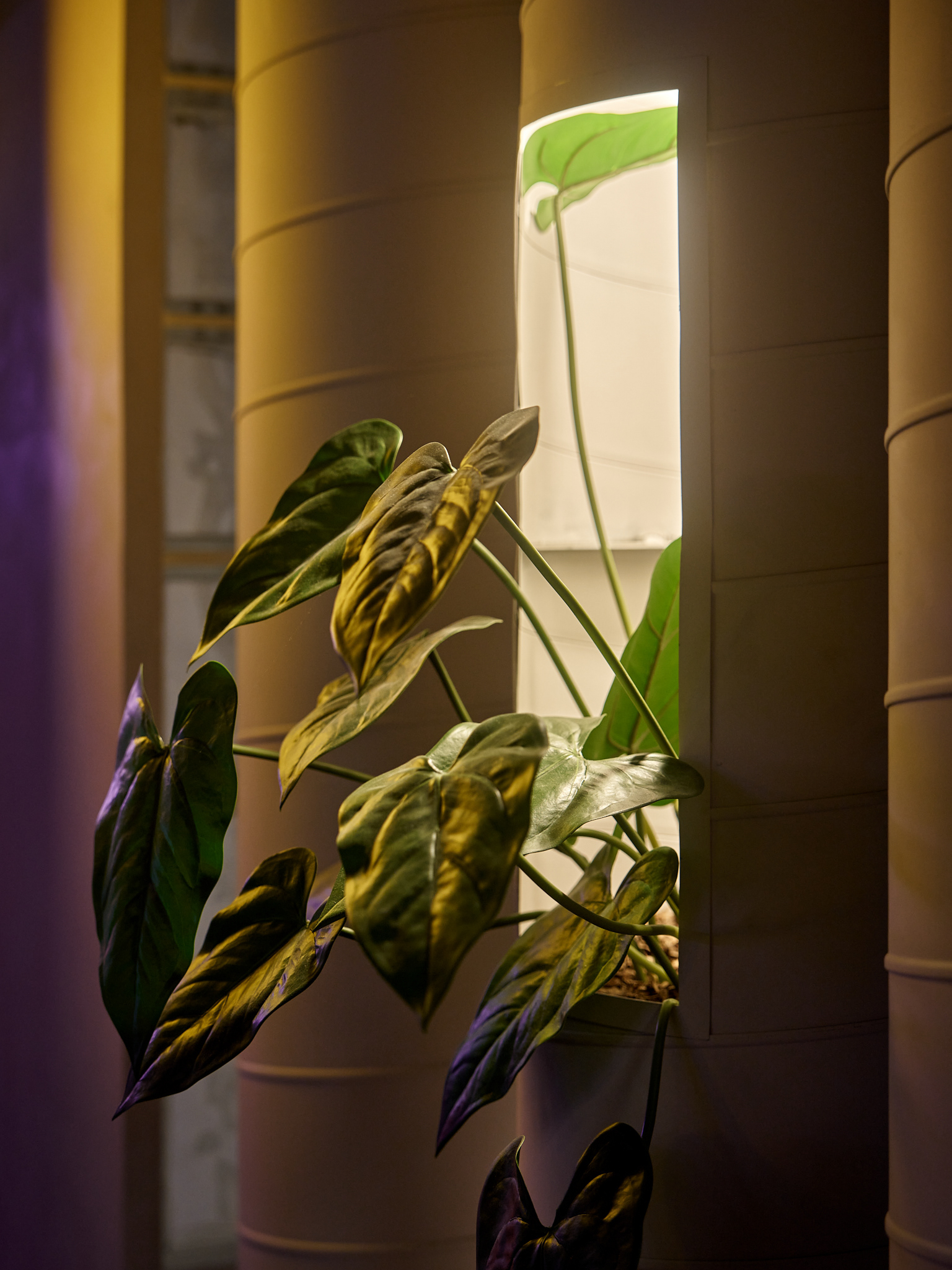 中型休息室丨俄罗斯莫斯科-13