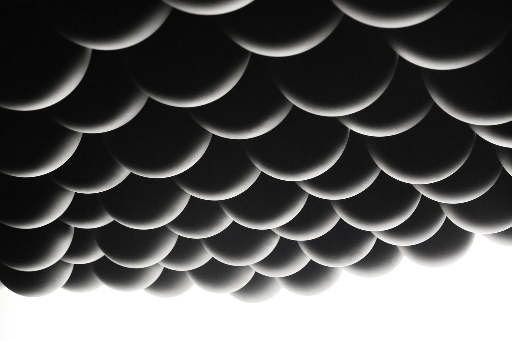 《暗物质2026  四季森林》展览丨德国丨Christopher Bauder + Chris Kuijten-84