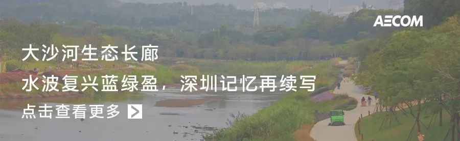 沈阳大东路街道改造项目丨中国沈阳丨AECOM-57