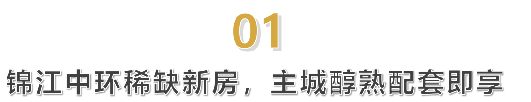 龙湖新绿色锦江峯萃-10