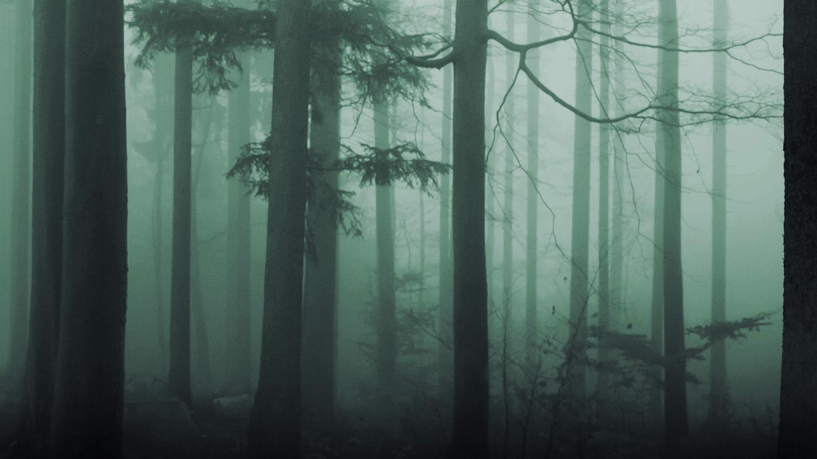 Spedition | Stylt Trampoli AB-12