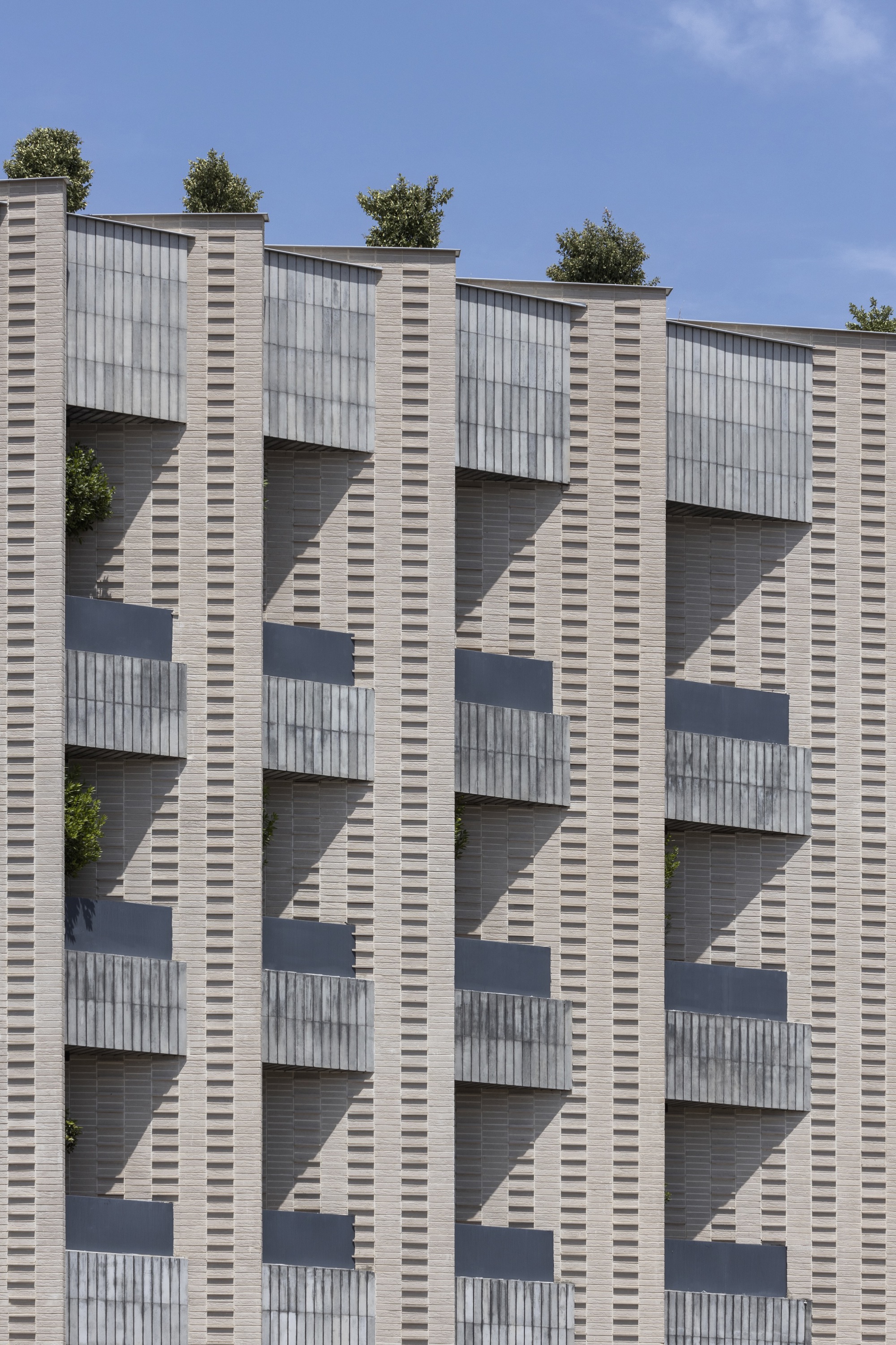 侧身公寓丨伊朗丨Ashari Architects-16