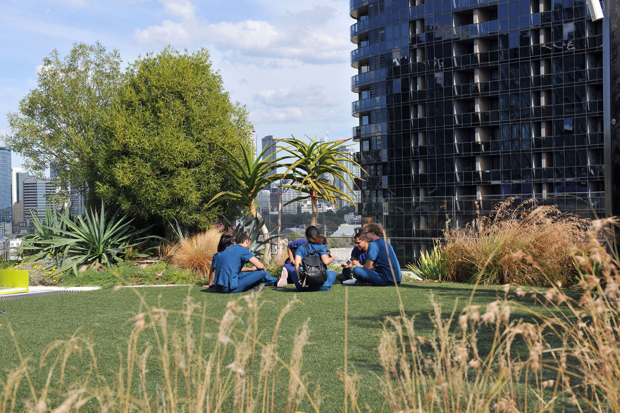 维多利亚综合癌症中心周围景观-14