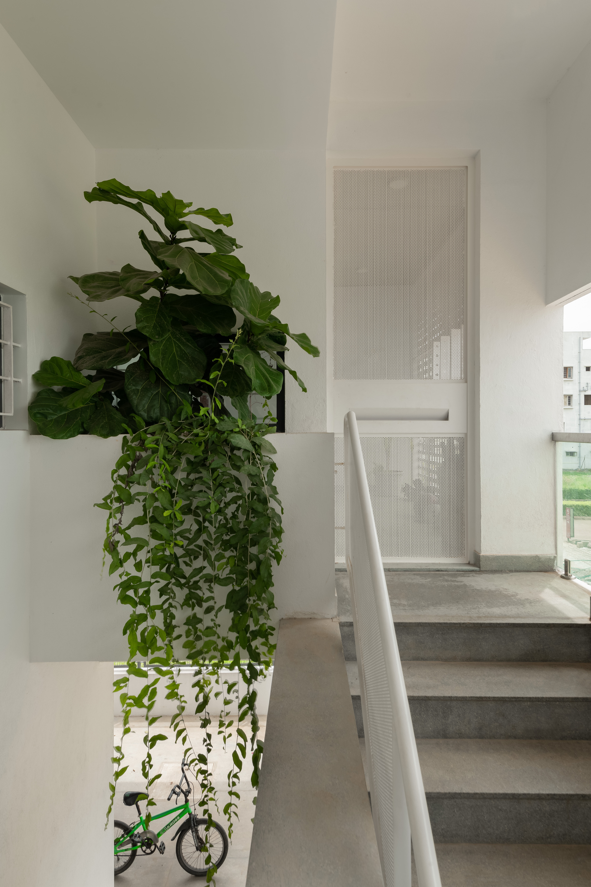 明晰之屋丨印度班加罗尔丨ma+rs-29