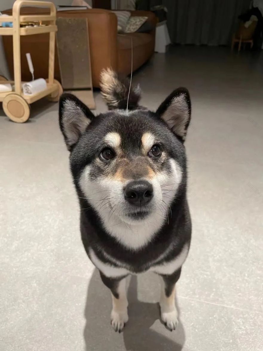 恬静 · 南京小夫妻的温馨之家丨中国南京丨壹石设计工作室-52