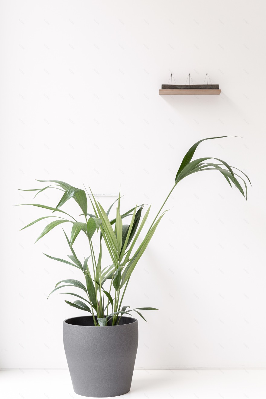 luum architects 打造未来感办公建筑丨比利时-24