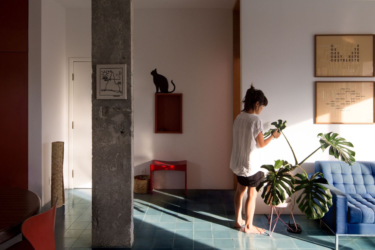 巴西圣保罗 Alameda Barão de Limeira 公寓翻新设计-25