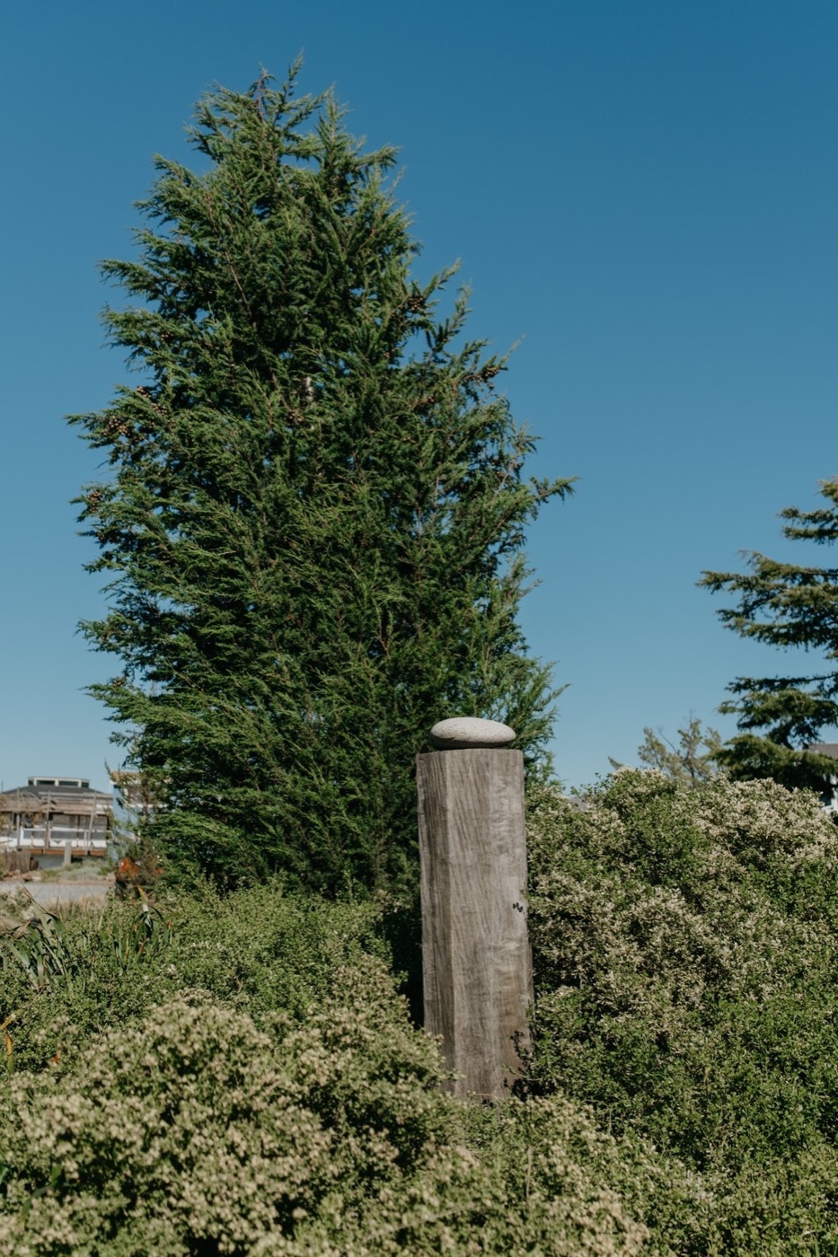 加州海滨波西米亚风 Varda Landing 社区景观设计丨美国加利福尼亚丨Terremoto-21