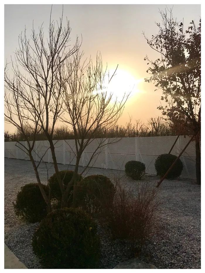 高技术与高颜值的京东"未来“植物工厂-19