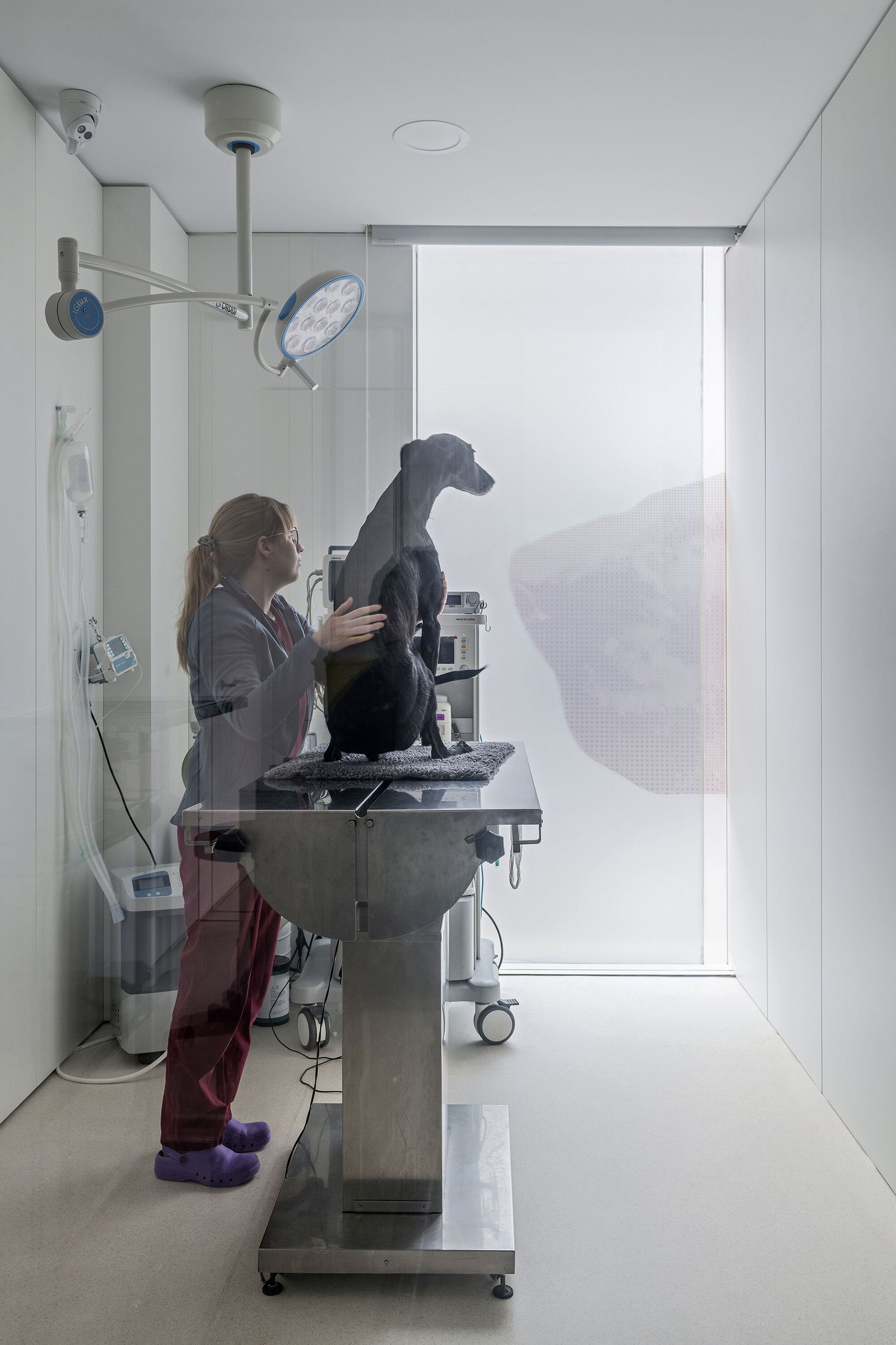 Rosvet 兽医诊所丨西班牙丨VIDA Arquitectura-22