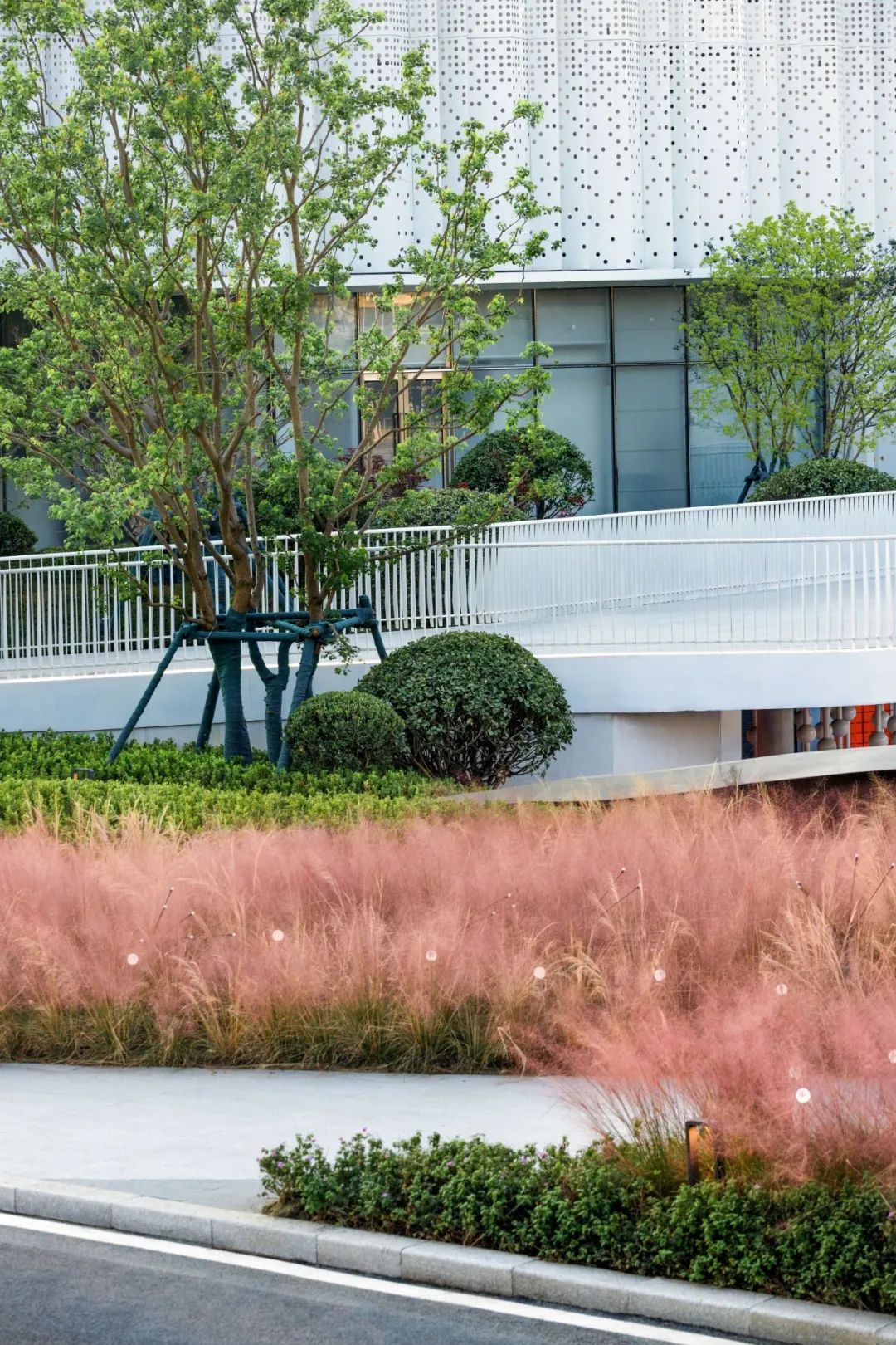 金小瑞的自然探索之旅 | 金辉·优步学府-29