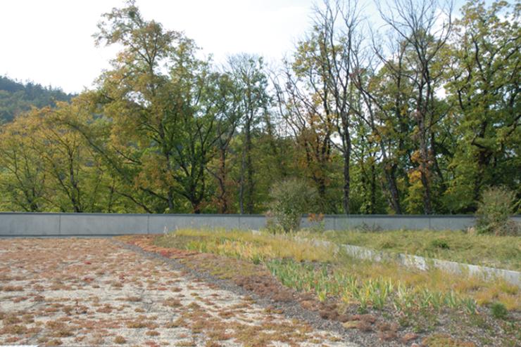 安纳西城市社区饮用水生产单元（埃斯帕尼奥克斯场地）-5