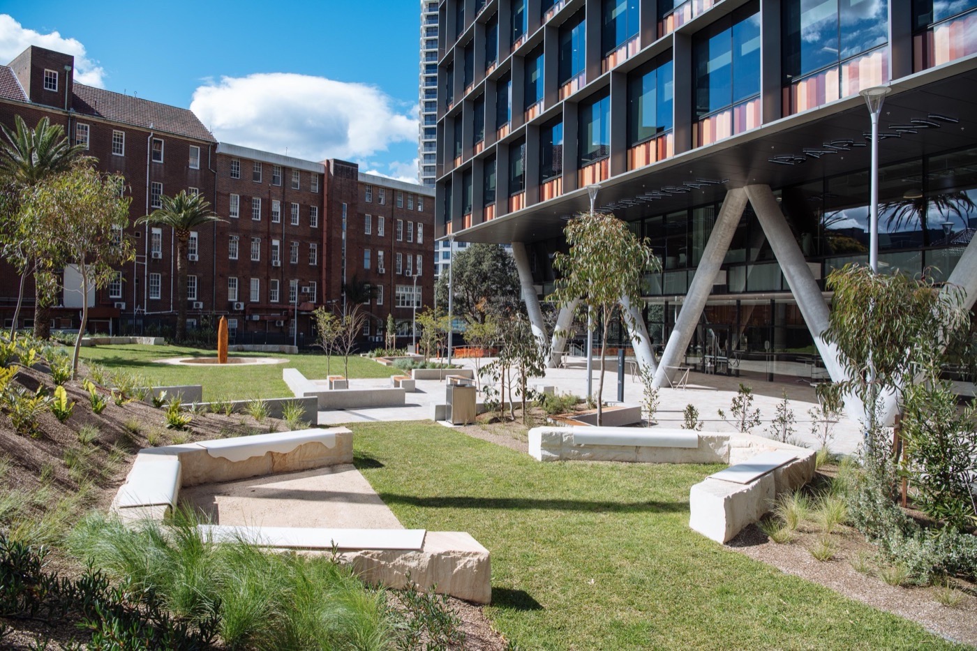 悉尼 St Leonards 健康组织迁址丨澳大利亚悉尼丨Arcadia Landscape Architecture-22