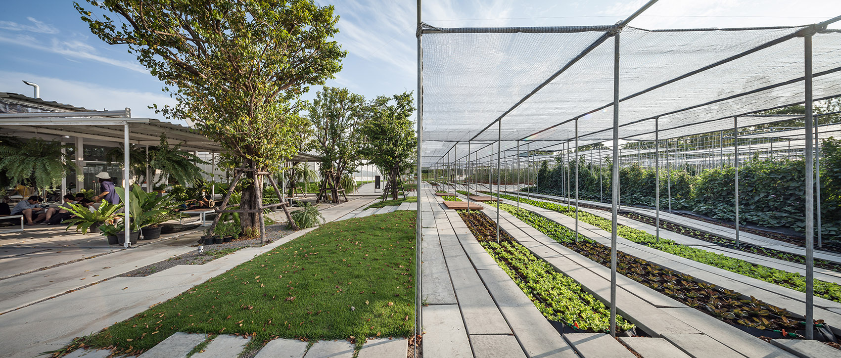 都市农场,泰国 / Integrated Field Co.,Ltd.-23