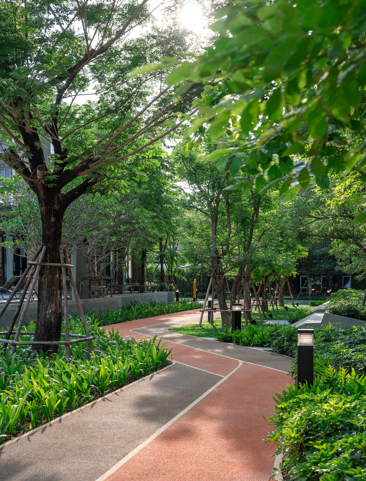 活力大区(Plum Alive)-11