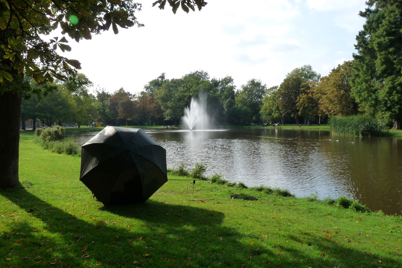 阿姆斯特丹冯德尔公园主入口改造丨荷兰阿姆斯特丹-8