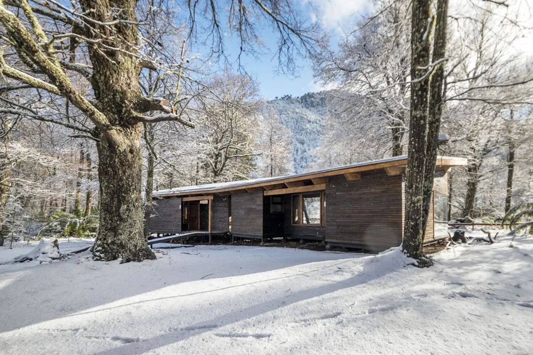 智利 118m²森林木屋丨勾勾手设计网-18