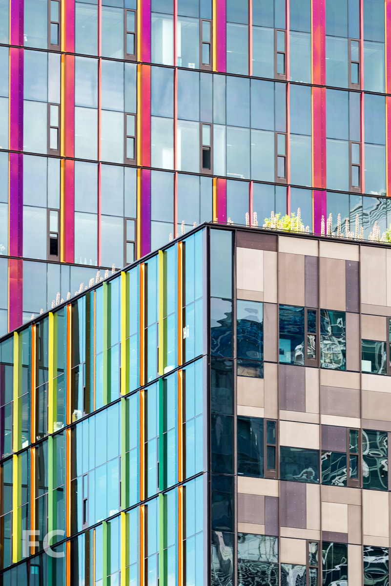 Amazon Headquarters Seattle — FIELD CONDITION-3