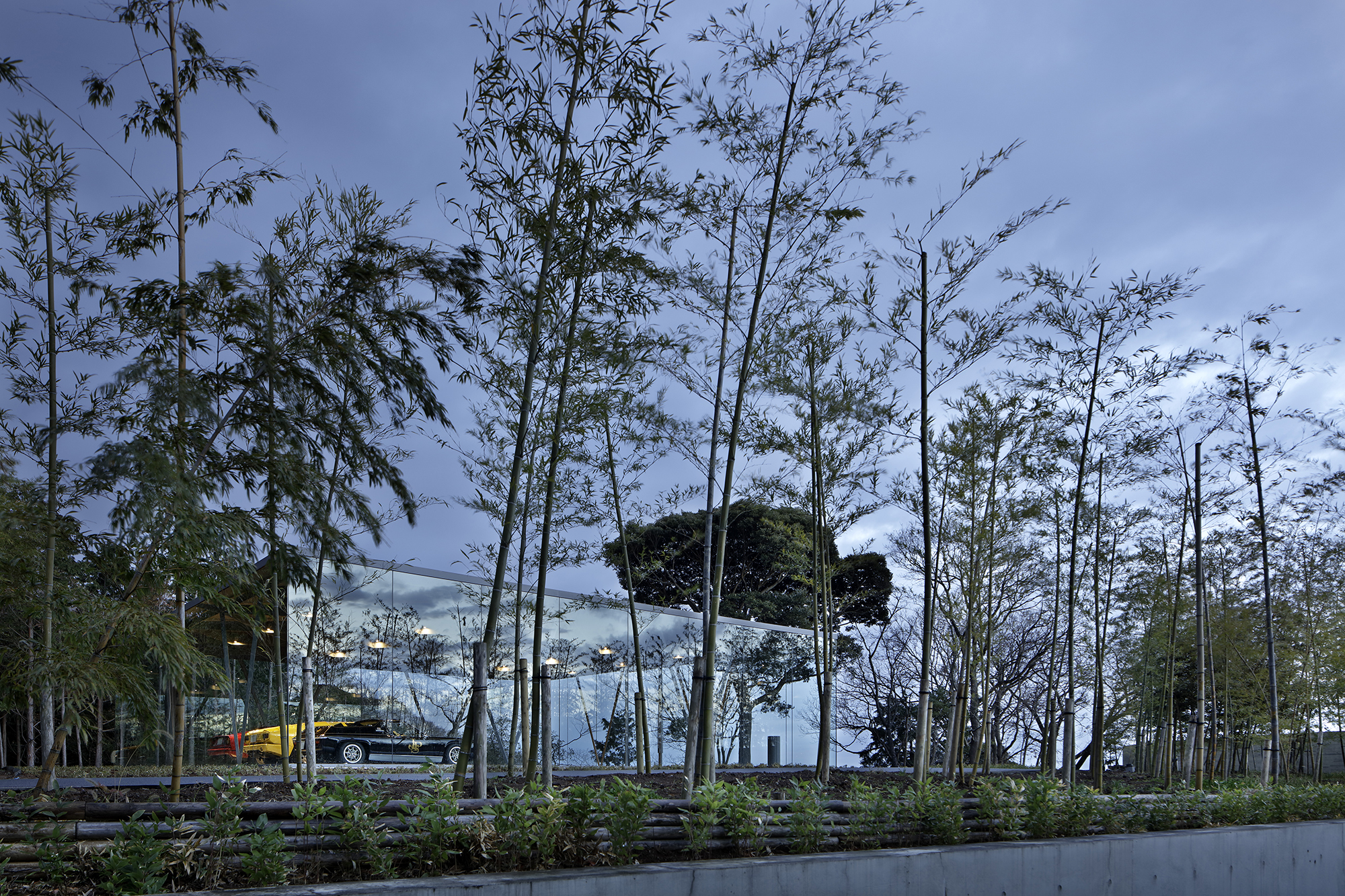 竹林环绕的透明画廊-13