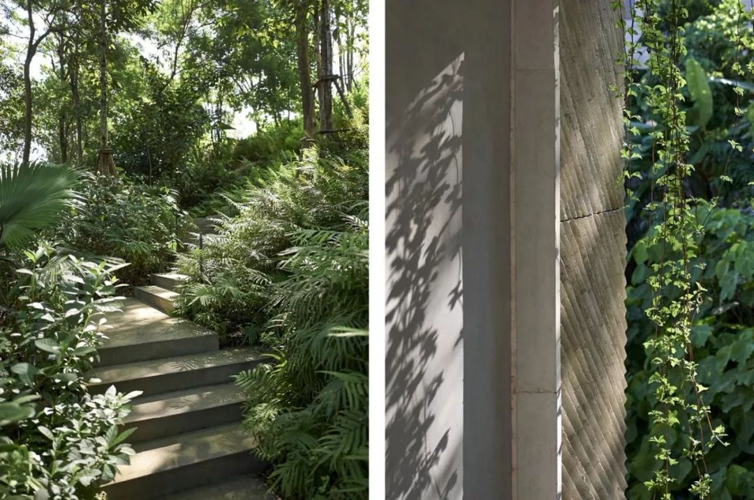 BAR Studio | 酒店设计界的优雅传奇-39