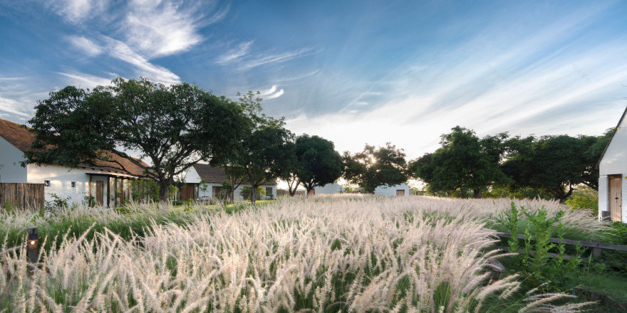 泰国鲁赫·奇莉·考艾酒店(Roukh Kiri Khao Yai Hotel)(2020)(Onion)设计-57