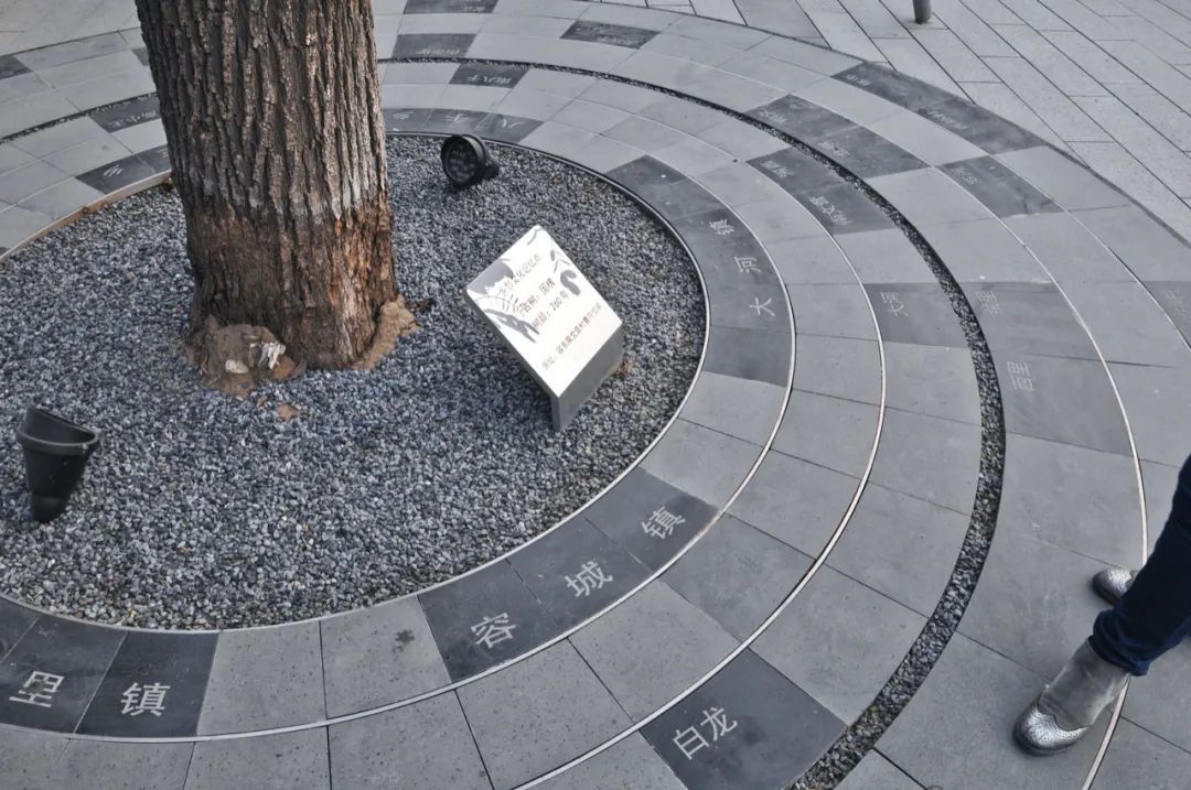 绿色智慧生活样本 | 乡愁记忆的新区实验区-40