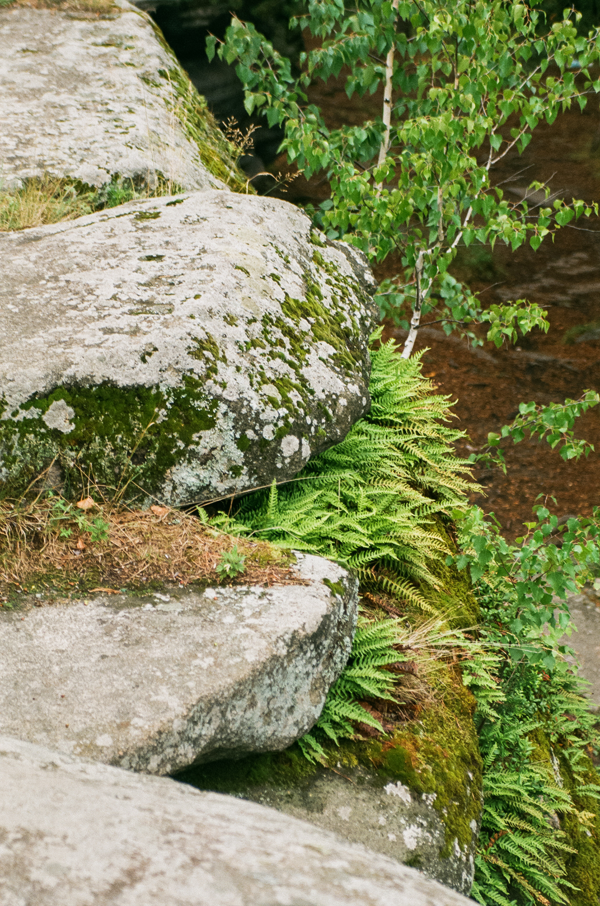 Ural on film 2019-2021-42