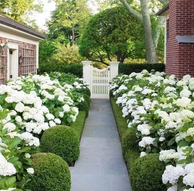 绿篱景观的多功能设计 | 空间、生态与美学的完美结合-66