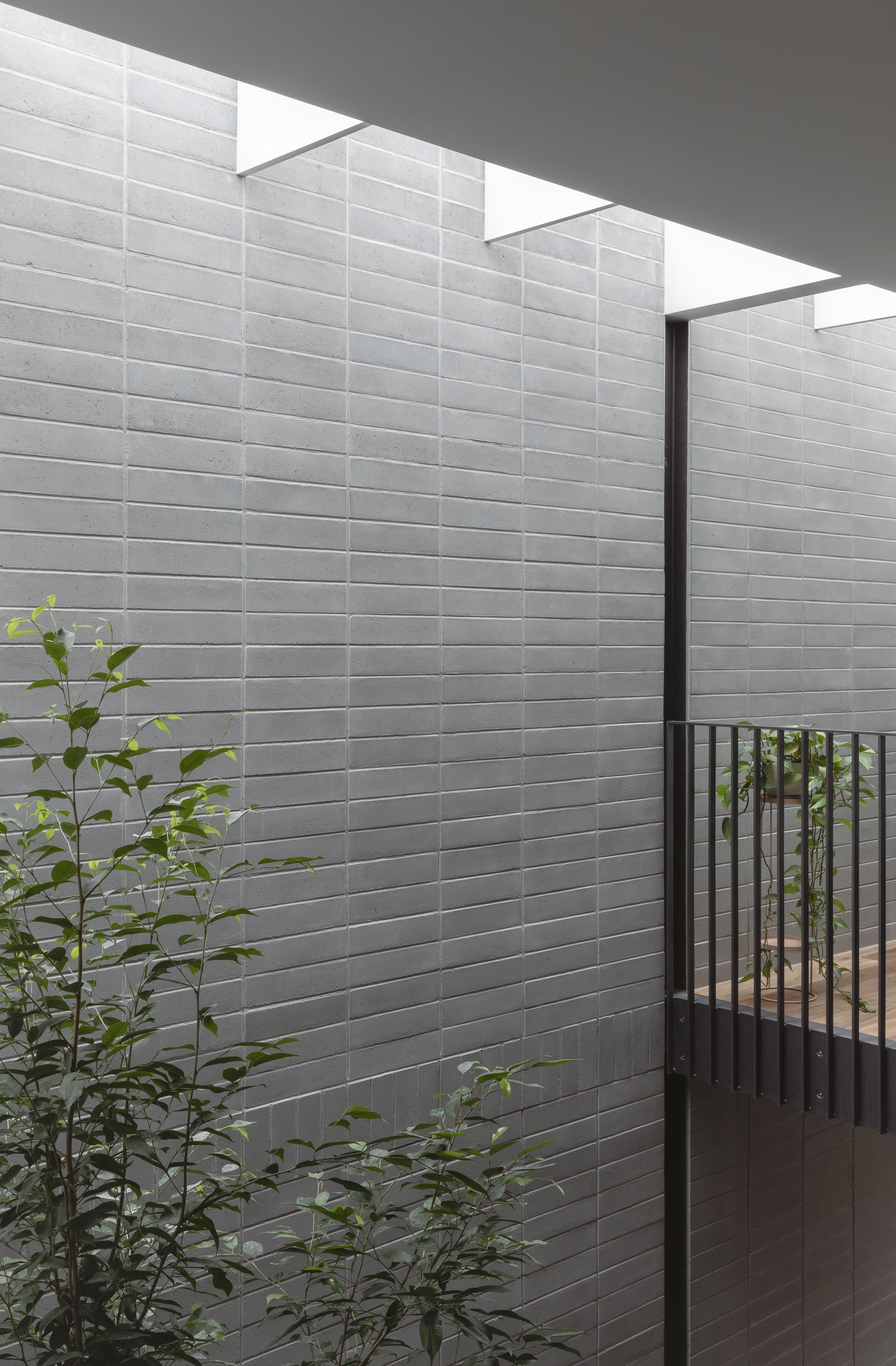 树岛屋丨澳大利亚悉尼丨Carter Williamson Architects-32