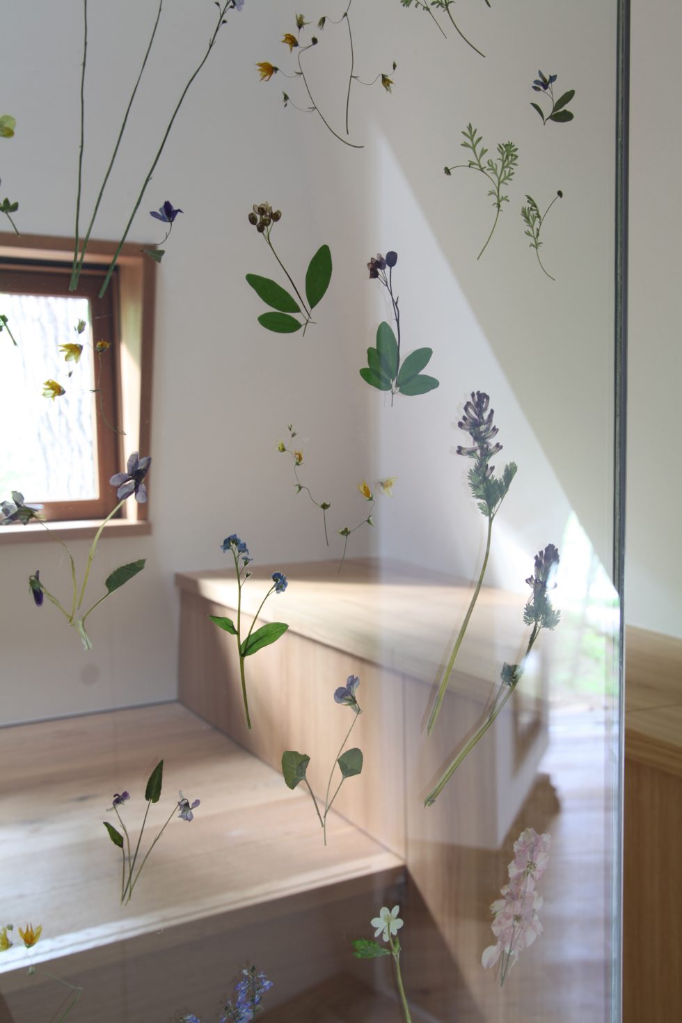 NasuTepee Hiroshi Nakamura - NAP-8